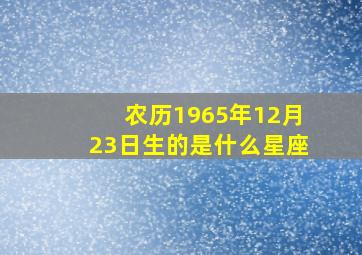 农历1965年12月23日生的是什么星座