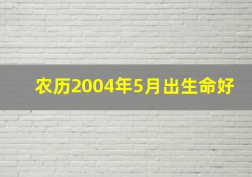 农历2004年5月出生命好