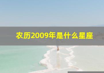 农历2009年是什么星座