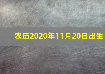 农历2020年11月20日出生