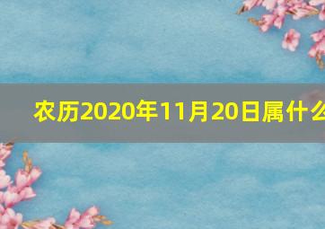 农历2020年11月20日属什么