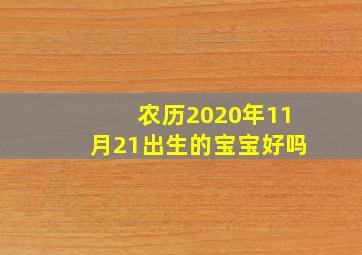 农历2020年11月21出生的宝宝好吗