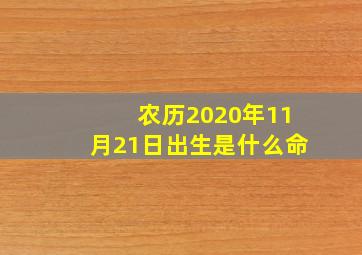 农历2020年11月21日出生是什么命