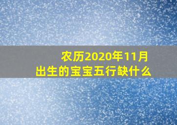 农历2020年11月出生的宝宝五行缺什么