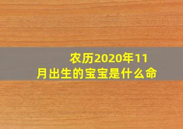 农历2020年11月出生的宝宝是什么命