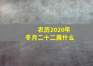 农历2020年冬月二十二属什么