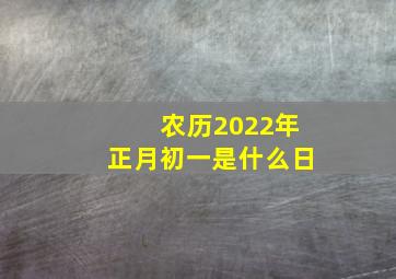 农历2022年正月初一是什么日