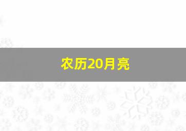 农历20月亮