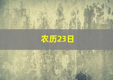 农历23日