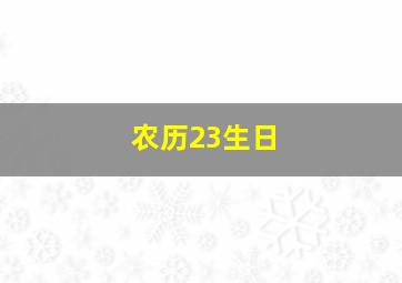 农历23生日