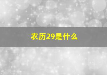 农历29是什么