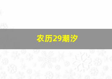 农历29潮汐