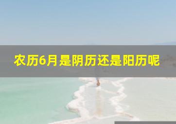 农历6月是阴历还是阳历呢