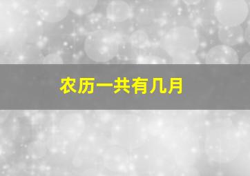 农历一共有几月