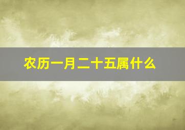 农历一月二十五属什么