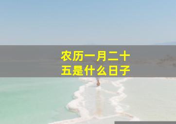 农历一月二十五是什么日子