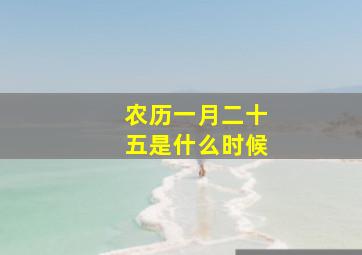 农历一月二十五是什么时候