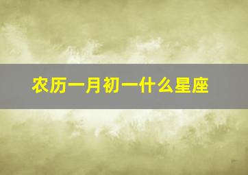 农历一月初一什么星座