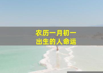 农历一月初一出生的人命运