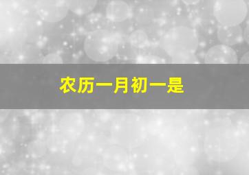 农历一月初一是