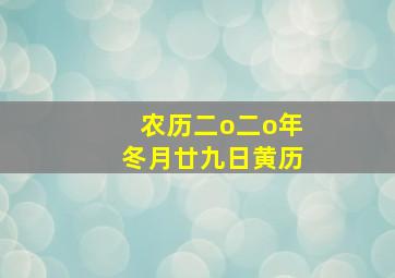 农历二o二o年冬月廿九日黄历