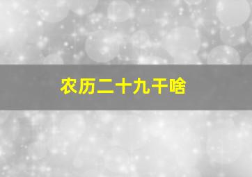 农历二十九干啥