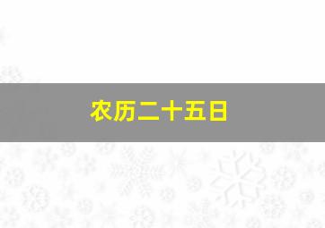 农历二十五日