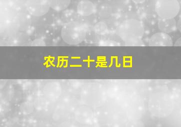 农历二十是几日