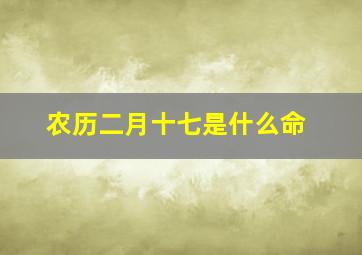 农历二月十七是什么命