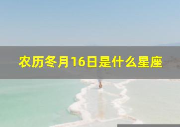 农历冬月16日是什么星座