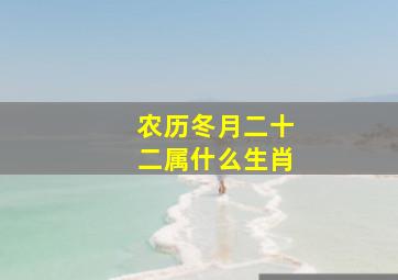 农历冬月二十二属什么生肖