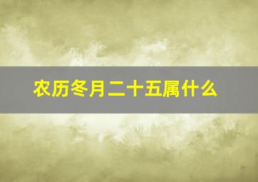 农历冬月二十五属什么