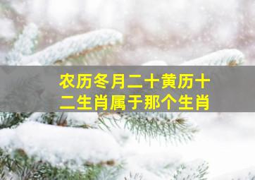 农历冬月二十黄历十二生肖属于那个生肖