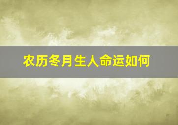 农历冬月生人命运如何