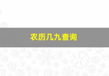 农历几九查询