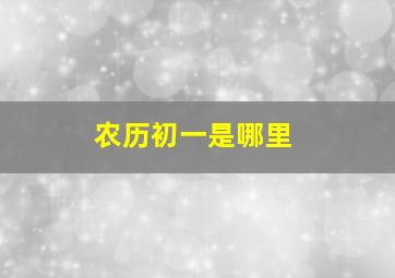 农历初一是哪里