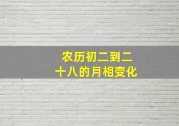 农历初二到二十八的月相变化