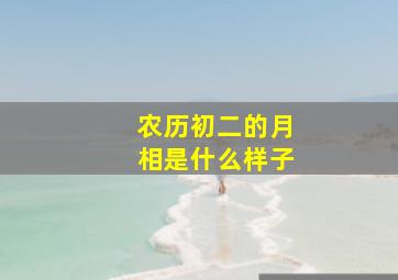 农历初二的月相是什么样子