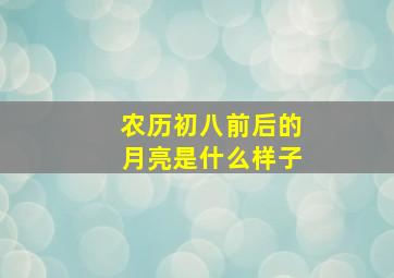 农历初八前后的月亮是什么样子