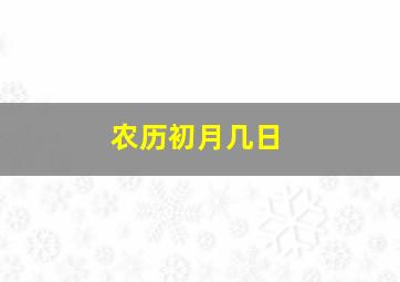 农历初月几日