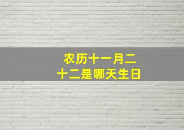 农历十一月二十二是哪天生日