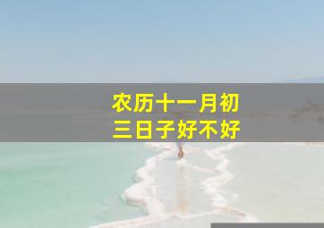 农历十一月初三日子好不好