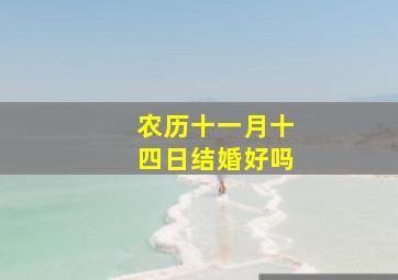 农历十一月十四日结婚好吗