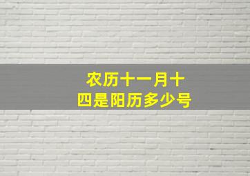 农历十一月十四是阳历多少号