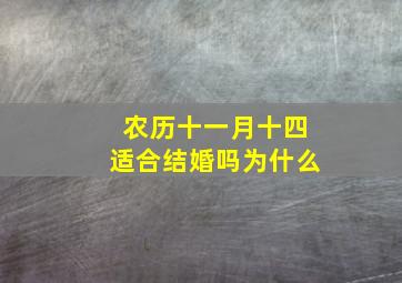 农历十一月十四适合结婚吗为什么