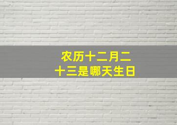 农历十二月二十三是哪天生日