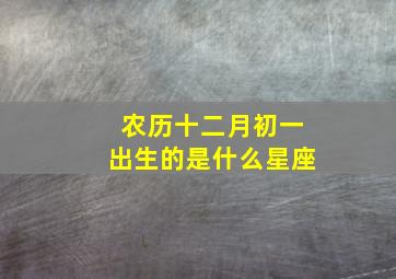 农历十二月初一出生的是什么星座