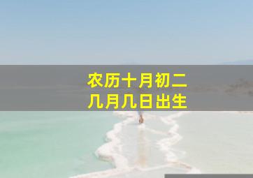 农历十月初二几月几日出生