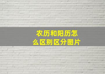 农历和阳历怎么区别区分图片