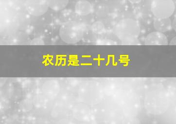 农历是二十几号